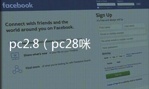 pc2.8(pc28咪牌)
